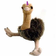 aveztruscornio